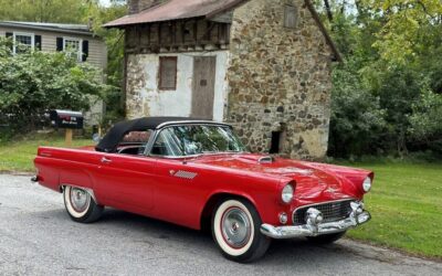 Ford Thunderbird Cabriolet 1955 à vendre