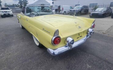 Ford-Thunderbird-convertible-1955-2