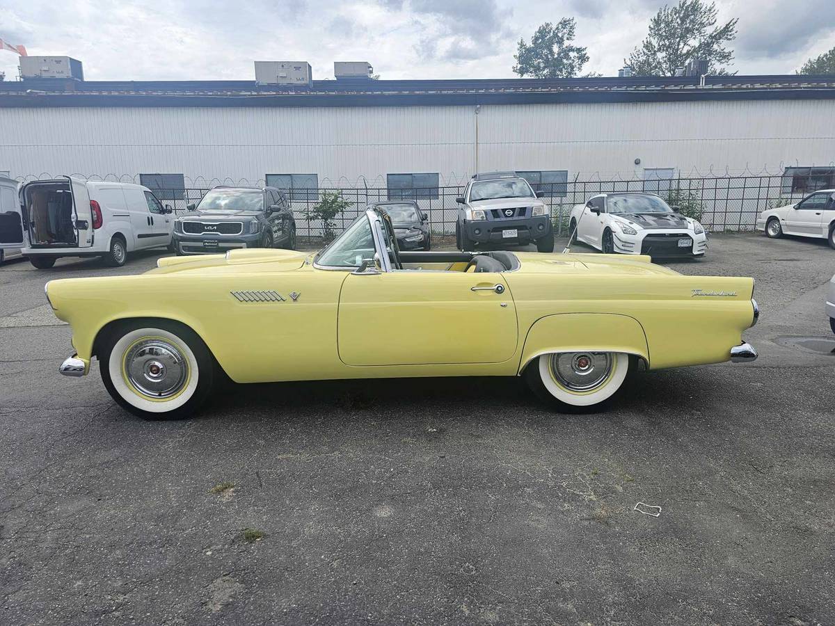 Ford-Thunderbird-convertible-1955-4