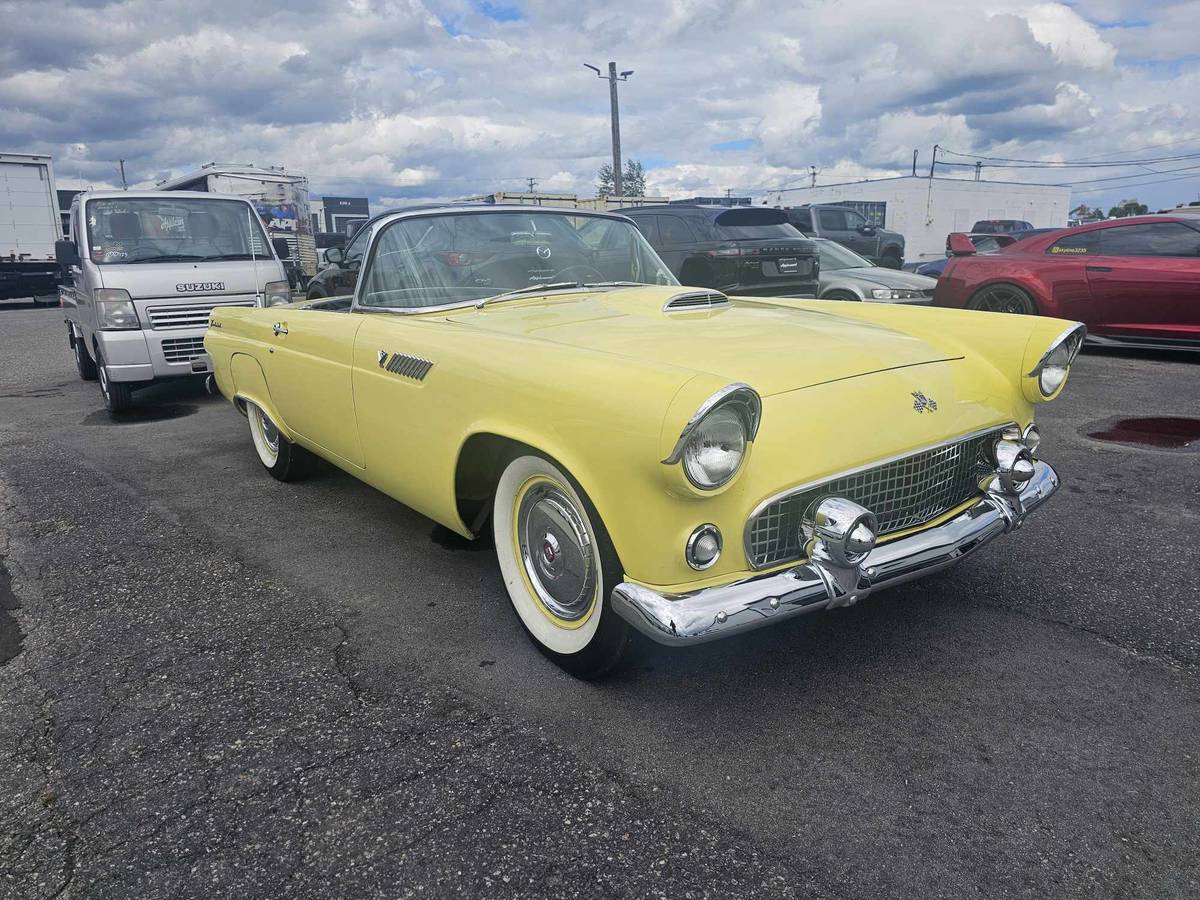 Ford-Thunderbird-convertible-1955-7