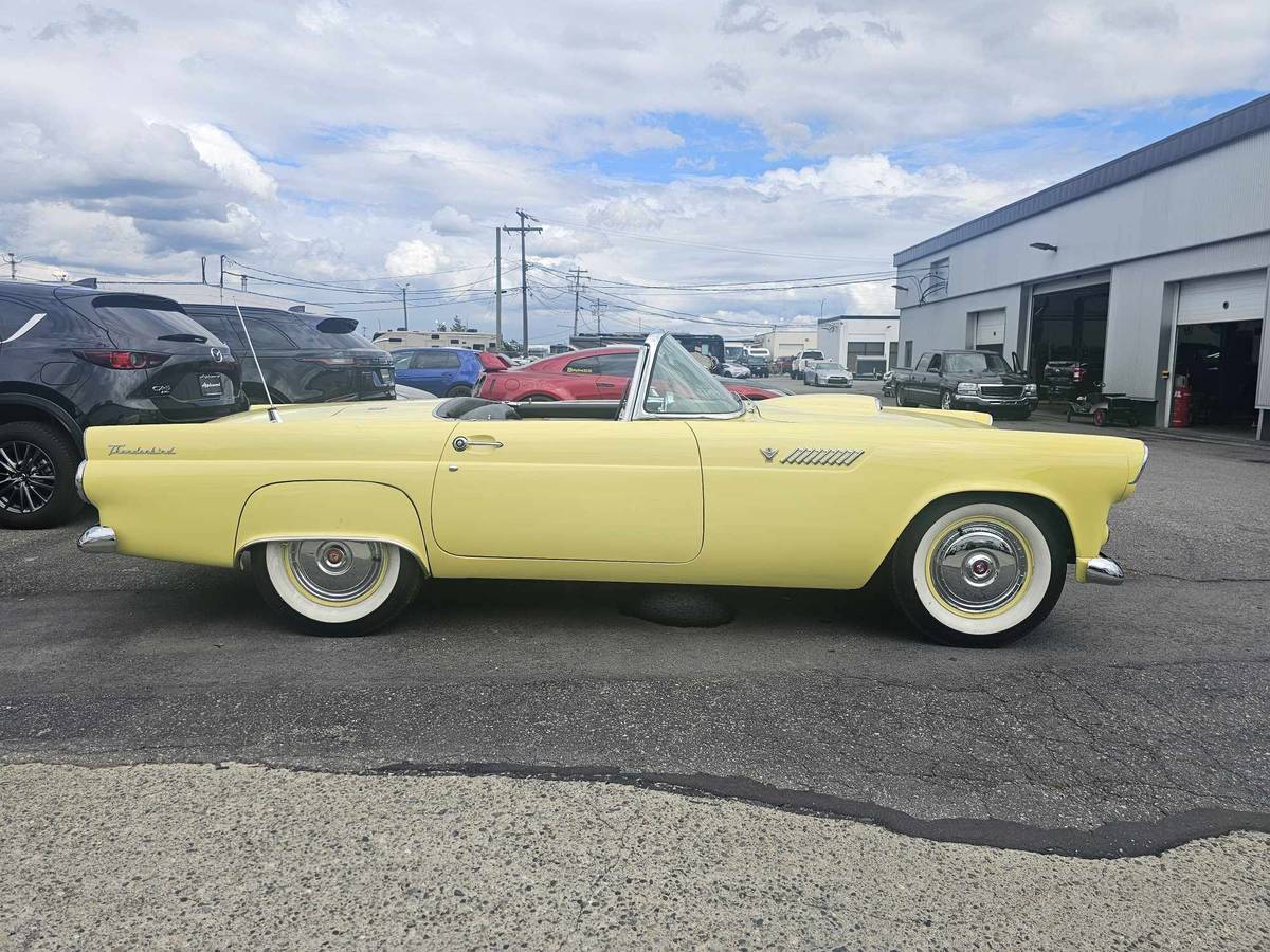 Ford-Thunderbird-convertible-1955-8