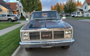 Gmc-Sierra-1500-1985-8