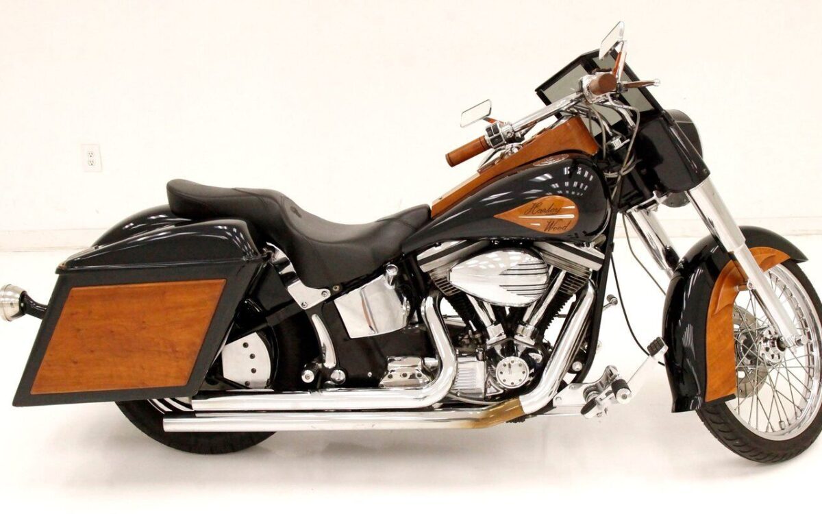 Harley-Davidson-FXST-Cabriolet-1989-1