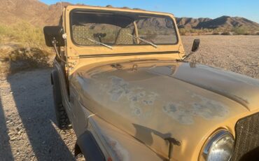 Jeep-CJ-Cabriolet-1977-12