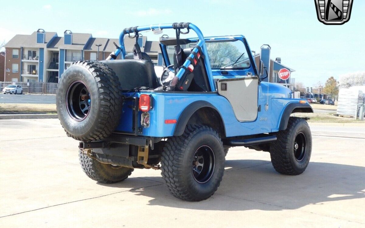 Jeep-CJ-Series-1979-4