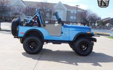 Jeep-CJ-Series-1979-5