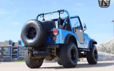 Jeep-CJ-Series-1979-8