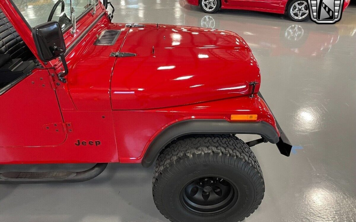 Jeep-CJ-Series-1985-7