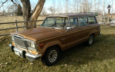 Jeep-Grand-wagoneer-1982-5