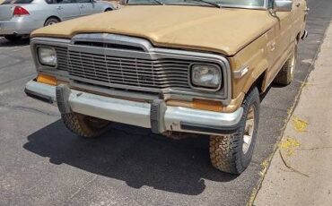 Jeep-Grand-wagoneer-1984-18