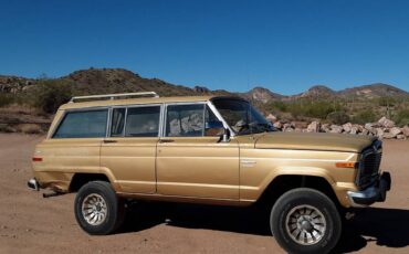 Jeep-Grand-wagoneer-1984