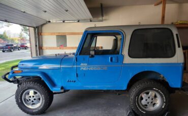 Jeep-Wrangler-islander-1989-2