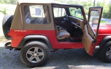 Jeep-Wrangler-s-1994-11