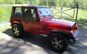 Jeep-Wrangler-s-1994-8