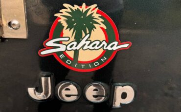 Jeep-Wrangler-sahara-1992-8