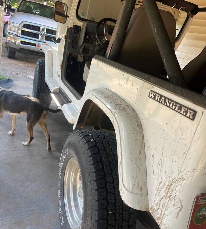 Jeep-Wrangler-yj-1989-2