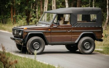 Mercedes-benz-Benx-240gd-diesel-1986-6