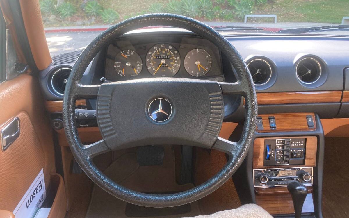 Mercedes-benz-Benz-300d-diesel-1979-19