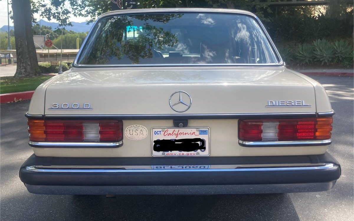 Mercedes-benz-Benz-300d-diesel-1979-4