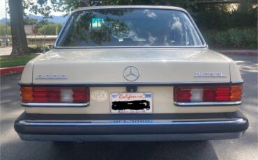 Mercedes-benz-Benz-300d-diesel-1979-4