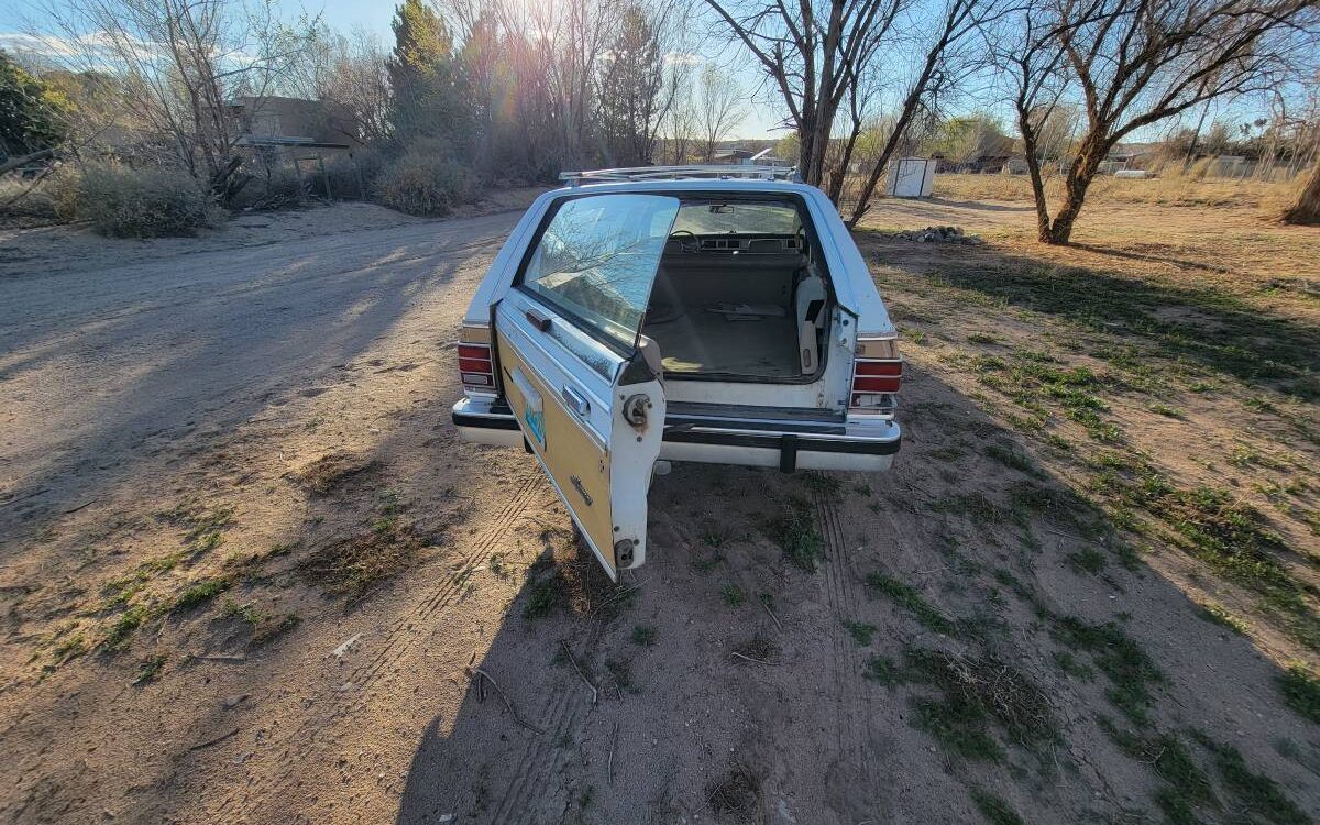 Mercury-Grand-marquis-ls-colony-park-1986-15