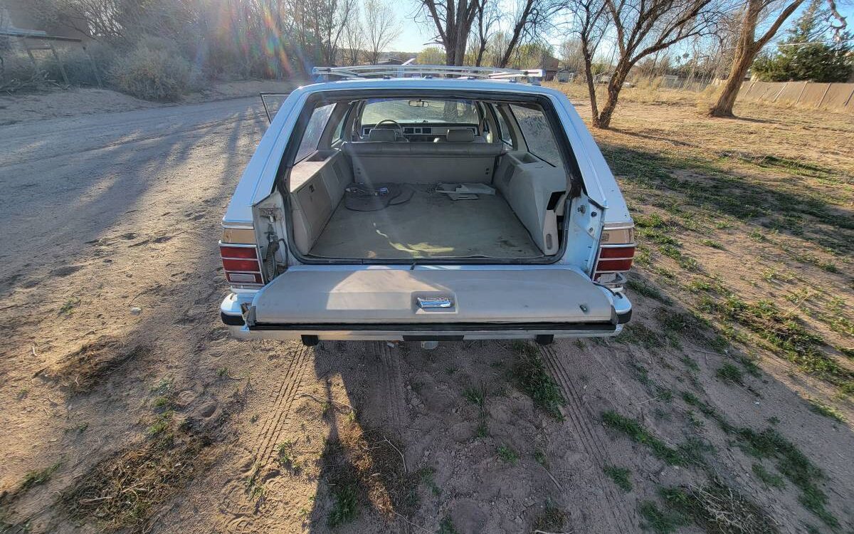 Mercury-Grand-marquis-ls-colony-park-1986-17