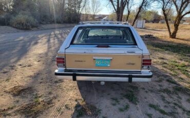 Mercury-Grand-marquis-ls-colony-park-1986-5