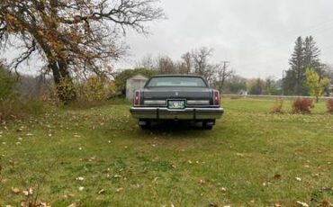 Oldsmobile-98-regency-1981-16