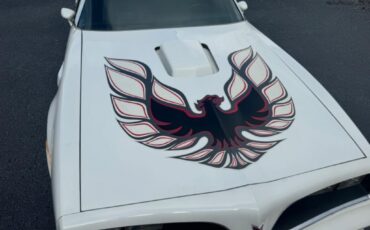 Pontiac-Firebird-x2019s-match-62k-documented-3-owner-original-1978-15