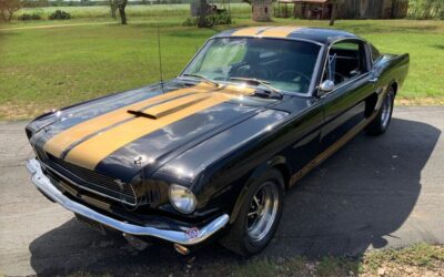 Shelby GT350-H Coupe 1966 à vendre