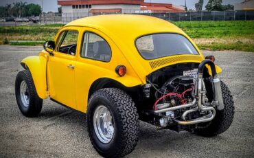 Volkswagen-Baja-bug-1960-20