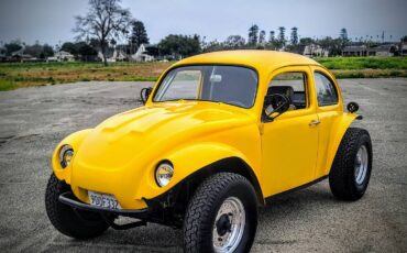 Volkswagen-Baja-bug-1960-21