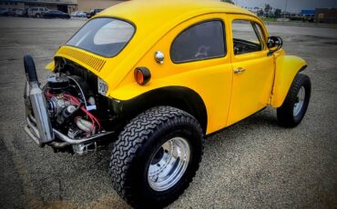 Volkswagen-Baja-bug-1960