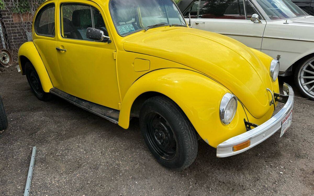 Volkswagen-Beetle-1984-2