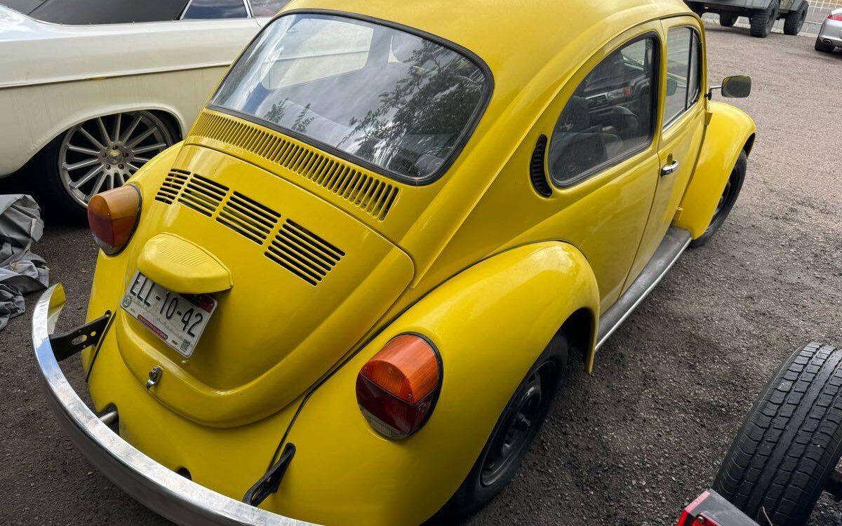 Volkswagen-Beetle-1984-3