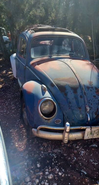 Volkswagen-Vw-bug-ragtop-1960