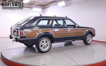 AMC-EAGLE-WOODY-1988-5