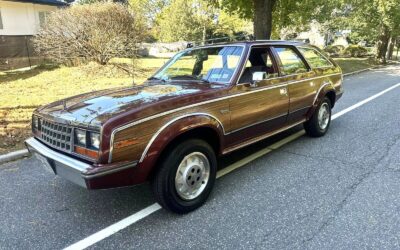 AMC Eagle 1984