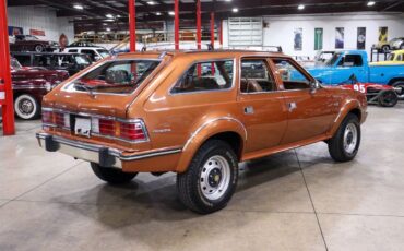 AMC-Eagle-SUV-1983-5