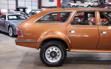 AMC-Eagle-SUV-1983-6