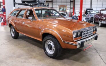 AMC-Eagle-SUV-1983-9