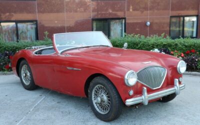 Austin-Healey 100-4 BN1 1955