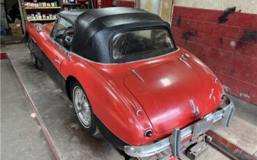 Austin-Healey-3000-MKII-BJ7-Cabriolet-1963-5