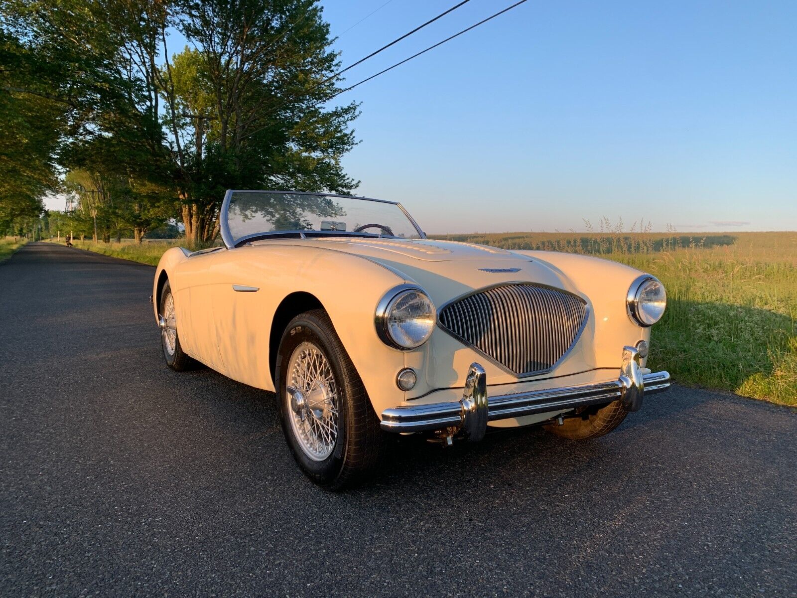 Austin-Healey Other Cabriolet 1956 à vendre