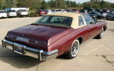 Buick-Riviera-coupe-1976-5