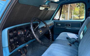 Chevrolet-C-10-1977-10