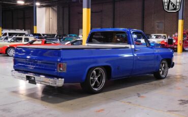 Chevrolet-C-10-1977-4