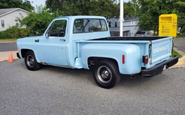 Chevrolet-C-10-1978-1