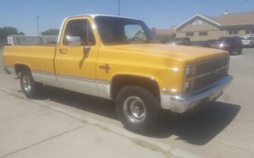 Chevrolet C-10  1982