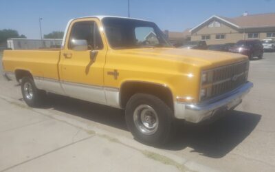 Chevrolet C-10  1982 à vendre